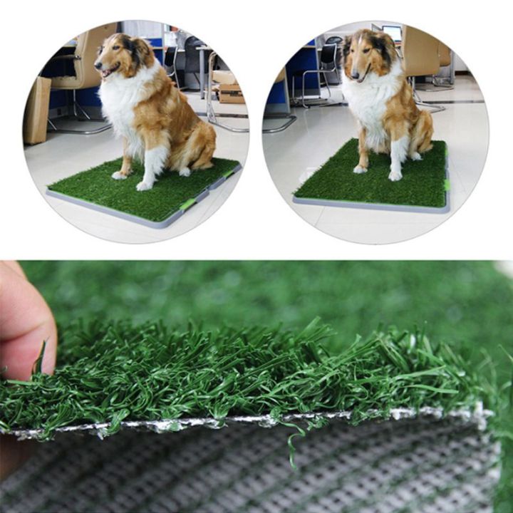 สนามหญ้าสังเคราะห์สำหรับที่ขับถ่ายลูกสุนัขแมว-บริเวณหญ้าเทียมสุนัขที่รองฝึกซ้อม