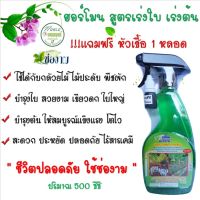 ?แถมฟรี ?หัวเชื้อ 1 หลอด ฮอร์โมน ปุ๋ยน้ำ สูตร เร่งใบ - เร่งต้น แบบสเปรย์พร้อมใช้ ตรา ช่องาม ขนาด 500 ซีซี