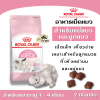 Royal Canin Mother &amp; Babycat อาหารเม็ดแมว แม่แมวและแมวแรกเกิด อายุ 1-4 เดือน บรรจุ 2 Kg.