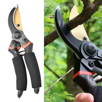 1pc Durable Gardening Scissors Gardening Hand Pruner Pruning Shear With  Titanium Coated Curved Precision Blades