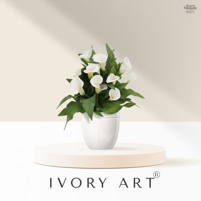 Woww สุดคุ้ม Planty Treasure "Ivory ArtⓇ" Calla Lily ราคาโปร พรรณ ไม้ น้ำ พรรณ ไม้ ทุก ชนิด พรรณ ไม้ น้ำ สวยงาม พรรณ ไม้ มงคล