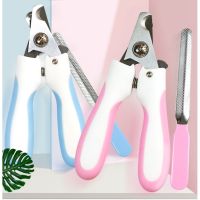 Boqi factory กรรไกรตัดเล็บสัตว์เลี้ยง ในสต็อก Stock Pet Nail Clippers กรรไกรตัดเล็บสุนัขและแมว พร้อมตะไบ L5026