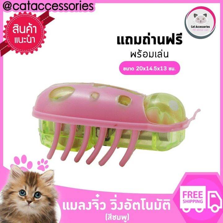 neko-care-แมลงโรบอตวิ่งอัตโนมัติ-ของเล่นแมว-ของเล่นแมวเด็ก-ของเล่นลูกแมว-แมลงจิ๋ว-หลอกแมว-แกล้งแมว-มีถ่านแถมพร้อมเล่น-มีให้เลือก6สี