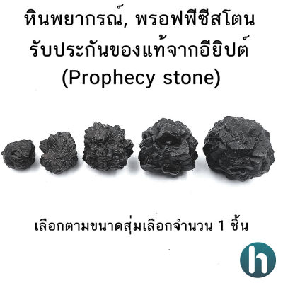 หินพยากรณ์ , พรอฟฟีซี สโตน (Prophecy Stone-Hematite After Marcasite) อียิปต์ หินแท้ อัญมณีมงคล