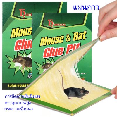 [ส่งจากไทย] ♬ กาว 17x24 ซม. กาวเหนียวเหนียวเหนียวเหนียวติดทนนานสำหรับดักหนูแมงมุมและแมลง