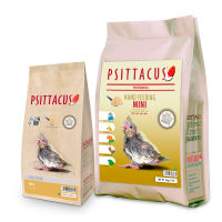 Psittacus Mini Hand Feeding Formula
