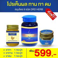 แท้ ส่งฟรี?แบบทาน 1 ดม 1 นวด 1? DRDHERB ดีอาร์ดีเฮิร์บ ภูมิแพ้ ไซนัส หอบหืด ช่วยเรื่องภูมิแพ้ หอบหืด ริดสีดวงจมูก ปัญหาจมูก