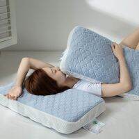 Cool Latex Pillow Removable Spring Core Protecting Cervical Spine Hotel Sleeping Household Single Washable pillow