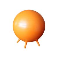 Chair Ball Exercise Ball Chair Chairs No Roll with Air Pump Chair for Adults Home Office Exercise Gym Workout Ball