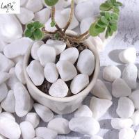 เครื่องฟอกทรายหลากสีแบบ DIY สำหรับตู้ปลาแจกันตกแต่งบอนไซแบบธรรมชาติผสมทรายหยาบกรวดทรายกรวดกลางแจ้งหินบอนไซ