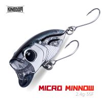 hot！【DT】 Hard Bait Topwater Fishing Lures 2.4g 35mm Z-Action Floating Bass Pike