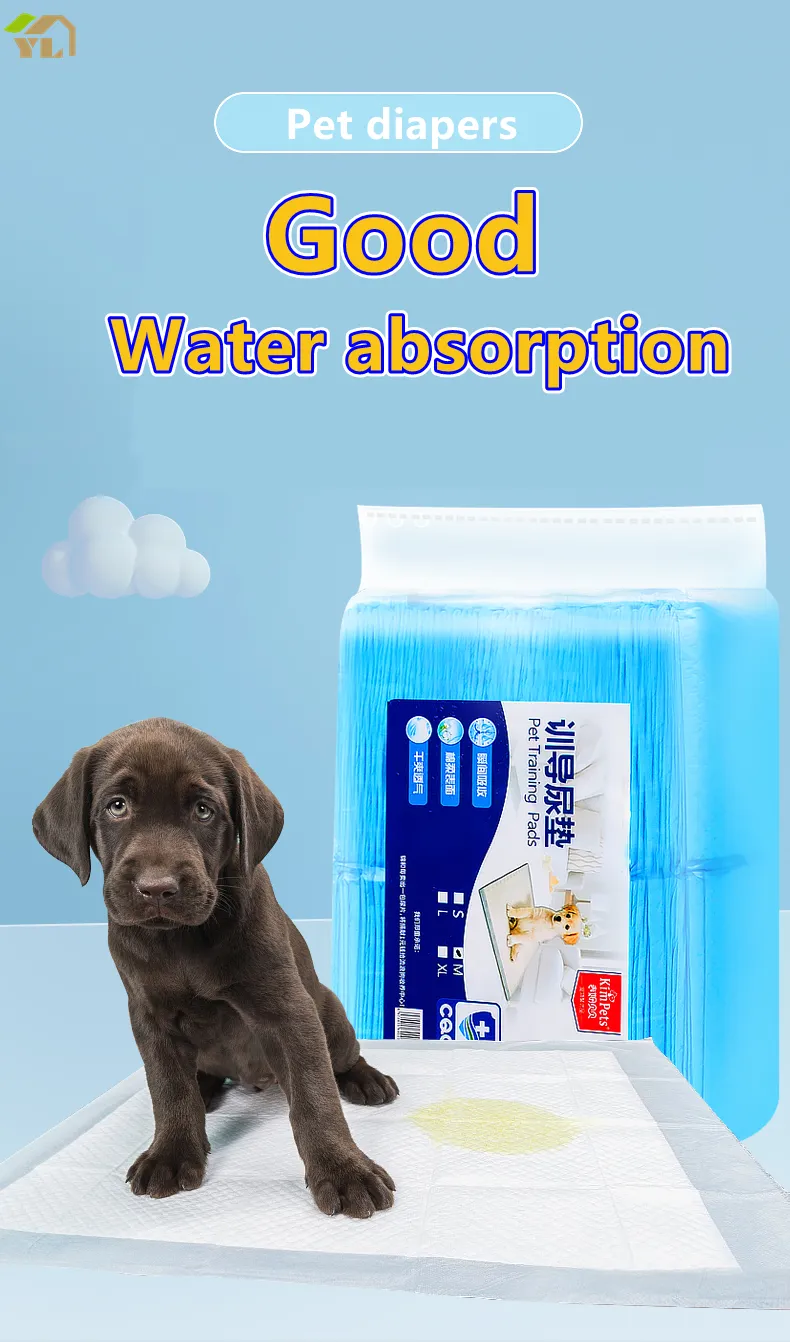 Are Dog Diapers Good For Training