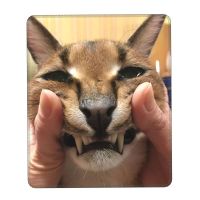 Funny Caracal Cat Floppa Meme Mouse Pad Square Non-Slip Rubber Mousepad with Stitched Edge Gaming Laptop Computer PC Mouse Mat