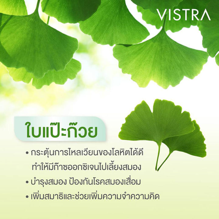 vistra-ginkgo-120-mg-30-เม็ด-สารสกัดจากแปะก๊วยบำรุงสมอง-ระบบประสาท-เพิ่มการไหลเวียนเลือด