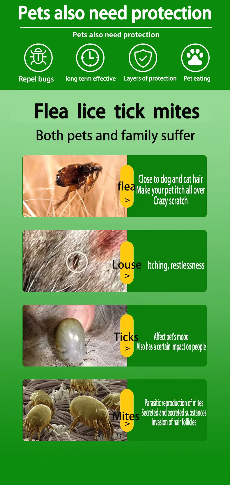 will lice shampoo kill mites on dogs