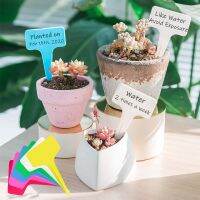 50Pcs ต้นไม้พลาสติก Etiketten 2.4  X 4  ซม.T-Type Tuin หมวดหมู่ Planten กันน้ำ2สีพืช Tags สำหรับโรงงาน Teken