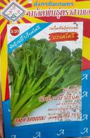 บรอคโคลี ?หมดอายุ07/2567?บรรจุ10เมล็ด ?เบบี้ บร็อคโคลี่ ?บรอคโคลี สายพันธุ์เล็กเป็นช่อดอก เก็บง่าย ไม่ต้องเสียเวลา หั่น