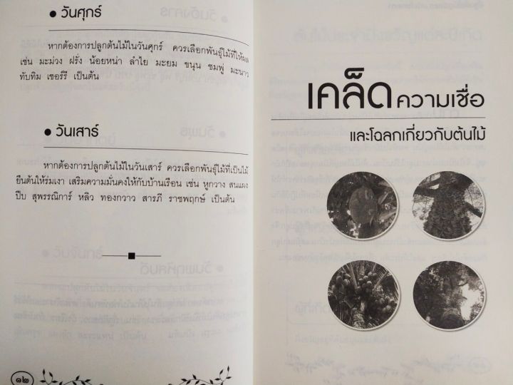 หนังสือ-ความเชื่อ-เสริมมงคลชีวิต-ปลูกต้นไม้ถูกโฉลกเสริมโชคชะตา