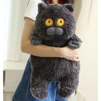 【CW】New Arrive 40cm Japanese Kawaii Soft Plush Cat Toys Stuffed Animal Dolls Kids Gift Lovely Fat Cats Pillow Home Decoration