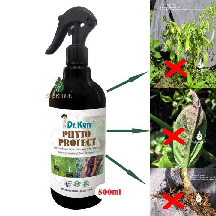 Fungus Killer Phosphorus Acid Dr Ken Phyto Protect Pembunuh Kulat Pokok