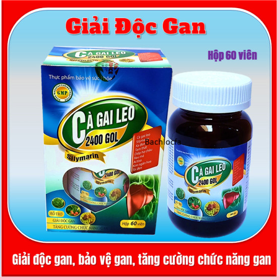 Viên uống giải độc gan cà gai leo 2400 gol,giúp giải độc gan - ảnh sản phẩm 4