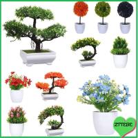 ZTTEBE 1 Set ของขวัญ ดอกเบญจมาศแฮนด์เมด ต้นสน Topiary กระถางจำลอง บอนไซประดิษฐ์ พืชเหมือนจริง ของตกแต่งบ้าน