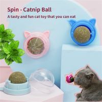 Catnip Mint Wall Mouth Promote Digestion Licking Snacks Accessories Supplies