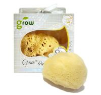 GROW Organic Silk Sea Sponge ฟองน้ำอาบน้ำเด็ก ธรรมชาติแบบนุ่มเนื้อละเอียดพิเศษ ไซส์ XL