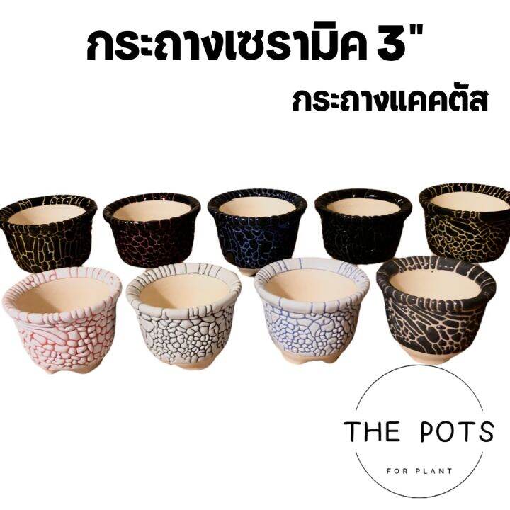 กระถางเซรามิค-กระถางแคคตัส-กระถางปากแตร-3-นิ้ว-กระถางไลทอป-กระถางไม้อวบน้ำ-กระถางจิ๋ว-กระถางสีพาสเทล-กระถางเคลือบลาวา-ขนาด-3-สูง-2