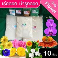 ปุ๋ย ABC Hydro only Flower บำรุงไม้ดอก ชุดขนาด 10 ลิตร ( A 10 L ,B 10 L และ C 10 L) ชนิดแห้ง ช่วงเตรียมดอก