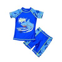 ▲◇☈ Boy Two Pieces Suit Cartoon Swimwear 2022 Children Short Sleeve Swimsuit 2 11 Year Kid Shark Print Beachwear Bathing Suit