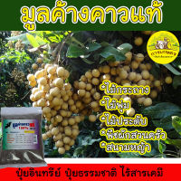 ?ของแท้ ส่งในไทย? ขี้ค้างคาว มูลค้างคาว 100% บำรุงพืช ผลดก พืชโตเร็ว ปุ๋ยธรรมชาติ