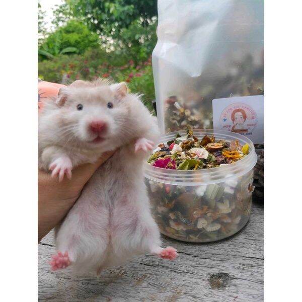 by-for-you-hamster-food-อาหารผสมแฮมเตอร์-สูตรพรีเมี่ยม-สำหรับ-หนูเเฮมเตอร์-ทุกสายพันธุ์