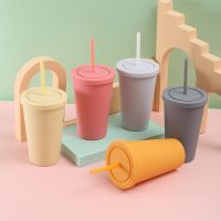 Candy Color Water Cup 500ML Frosted Plastic Straw Cup with Lid Coffee Cup Drinkware Outdoor Water Bottles for Sports Camping