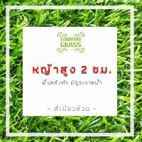 ??โปรพิเศษ หญ้าเทียม 2 cm. หย่าเทียมเกรดเอ หย่าเทียมม้วน ( ขนาด 2x6 เมตร ) สำหรับตกแต่งสวน ตกแต่งบ้าน หญ้าปูพื้น หญ้าจัดสวน ราคาถูก หญ้า หญ้าเทียม หญ้าเทียมปูพื้น หญ้ารูซี หญ้าแต่งสวน แต่งพื้น cafe แต่งร้าน สวย ถ่ายรุป