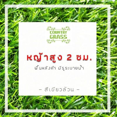 🎉🎉โปรพิเศษ หญ้าเทียม 2 cm. หย่าเทียมเกรดเอ หย่าเทียมม้วน ( ขนาด 2x6 เมตร ) สำหรับตกแต่งสวน ตกแต่งบ้าน หญ้าปูพื้น หญ้าจัดสวน ราคาถูก หญ้า หญ้าเทียม หญ้าเทียมปูพื้น หญ้ารูซี หญ้าแต่งสวน แต่งพื้น cafe แต่งร้าน สวย ถ่ายรุป