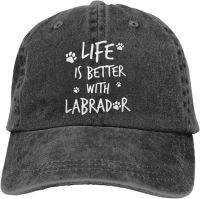กางเกงยีนส์วินเทจสำหรับสุนัขแม่สำหรับสุนัขปรับได้หมวกเบสบอลลาบราดอร์หมวกคุณพ่อสำหรับสุนัขแล็ป
