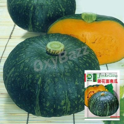 เมล็ดพันธุ์ฟักทองญี่ปุ่น เมล็ดฟักทองญี่ปุ่น 20เมล็ด Japanese Pumpkin Seeds