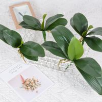 【CC】 Real  Artificial Orchid Plastic Wedding Decoration