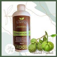 Conscious Living: 100% Natural Conditioner from Plant and fruit คอนดิชั่นเนอร์สูตรธรรมชาติ