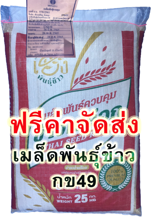 จัดส่งฟรี-กข49-เมล็ดพันธุ์ข้าว-กข49