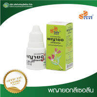 พญายอกลีเซอรีน PHYTO CARE (10 มล./หลอด) รักษาแผลในปาก