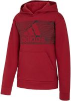 adidas Pullover Hoodie Kids