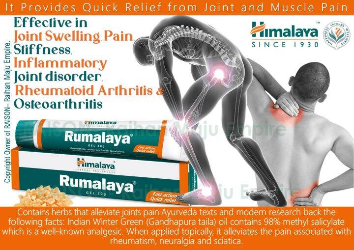 Himalaya Rumalaya Gel muscle and joint pain 30gm Lazada