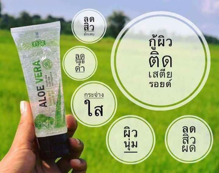 kapor-aloe-vera-fresh-and-gentle-gel-เจลว่านหางจระเข้ผสมใบบัวบก-และสารสกัดออร์แกนิค-90-มล-5-หลอด