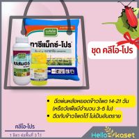 คลีโอโปร (โทพรามีโซน+อะทราซีน) สารกำจัดวัชพืช คุมวัชพืช ในข้าวโพด หญ้าใบแคบ ใบกว้าง