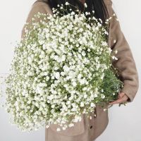 【LZ】□❡  Único ramo Baby Breath flor artificial Gypsophila plástico DIY buquê arranjo casamento decoração de casa presente artesanal