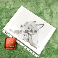 ▥ LifeMaster 11 holes Loose Leaf Plastic Folder 100pages/lot ( Ultra Thin) A4 Size Document Bag for File Folder Sheet Protector