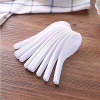 600pcs food Spoons Saimin Ramen White Plastic Spoon Outdoor Disposable Spoons Dining Food Sale 11x3cm