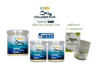 VGEN Collagen Plus Tripeptide Type2&amp;3 วีเจนคอลลาเจนพลัสไตรเปบไทด์ไทพ2&amp;3 กระปุก 150กรัม 1 กระปุก 50กรัม 2กระปุกฟรี วีเจนไวทเทนนิ่งพลัสครีม1#Collagenplus